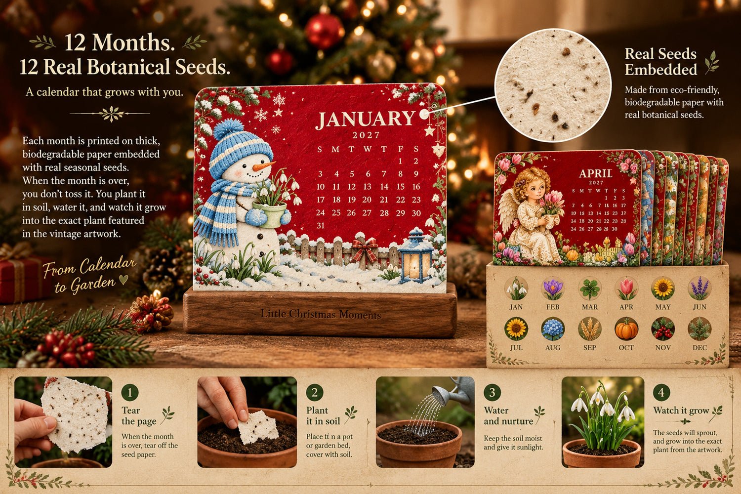 Seed calendar planting guide showing seed-embedded paper, tearing, planting, watering and growing