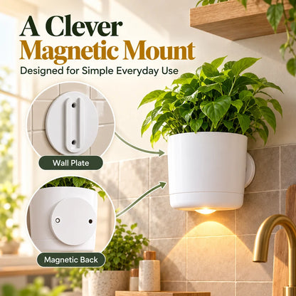 🌿 LED Wall Planter with Warm Ambient Light – Modern Space-Saving Indoor Plant Holder