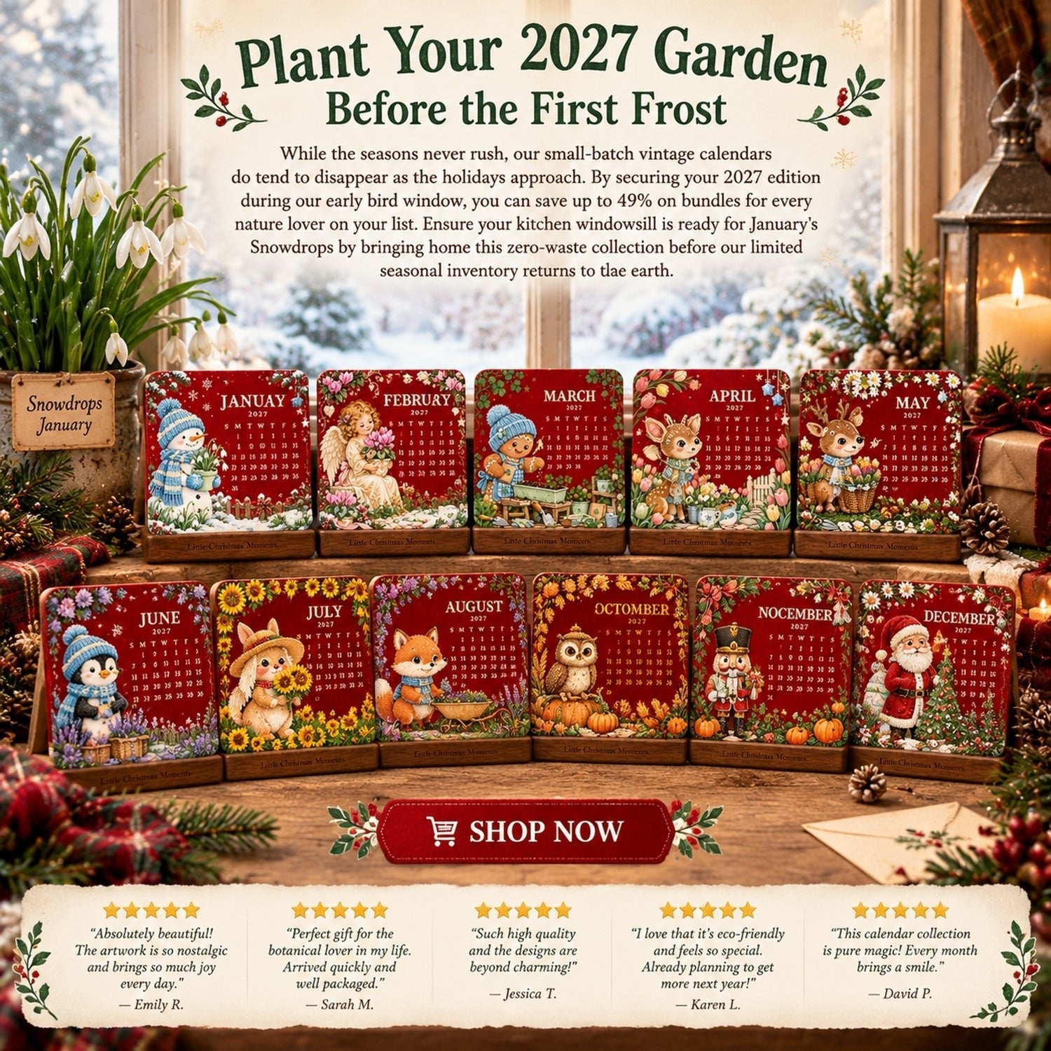 2027 plantable Christmas seed calendar displayed in festive gift setting with all twelve cards