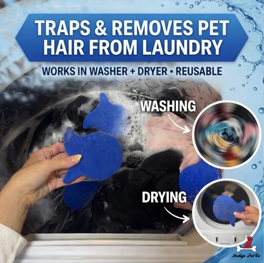🐾6pack- Reusable Laundry Pet Hair Remover – Less Fur, More Cuddles 🧺
