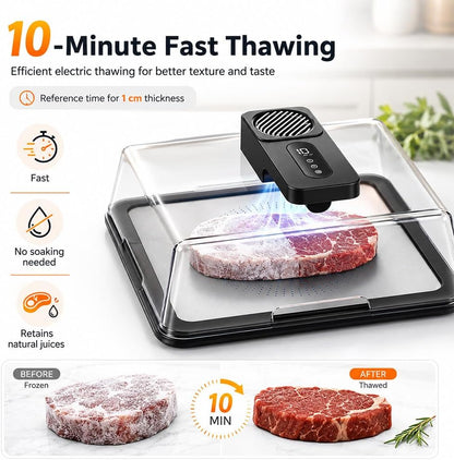 Meat Defroster Machine, 2026 Upgrade Electric Food Defrosting Box