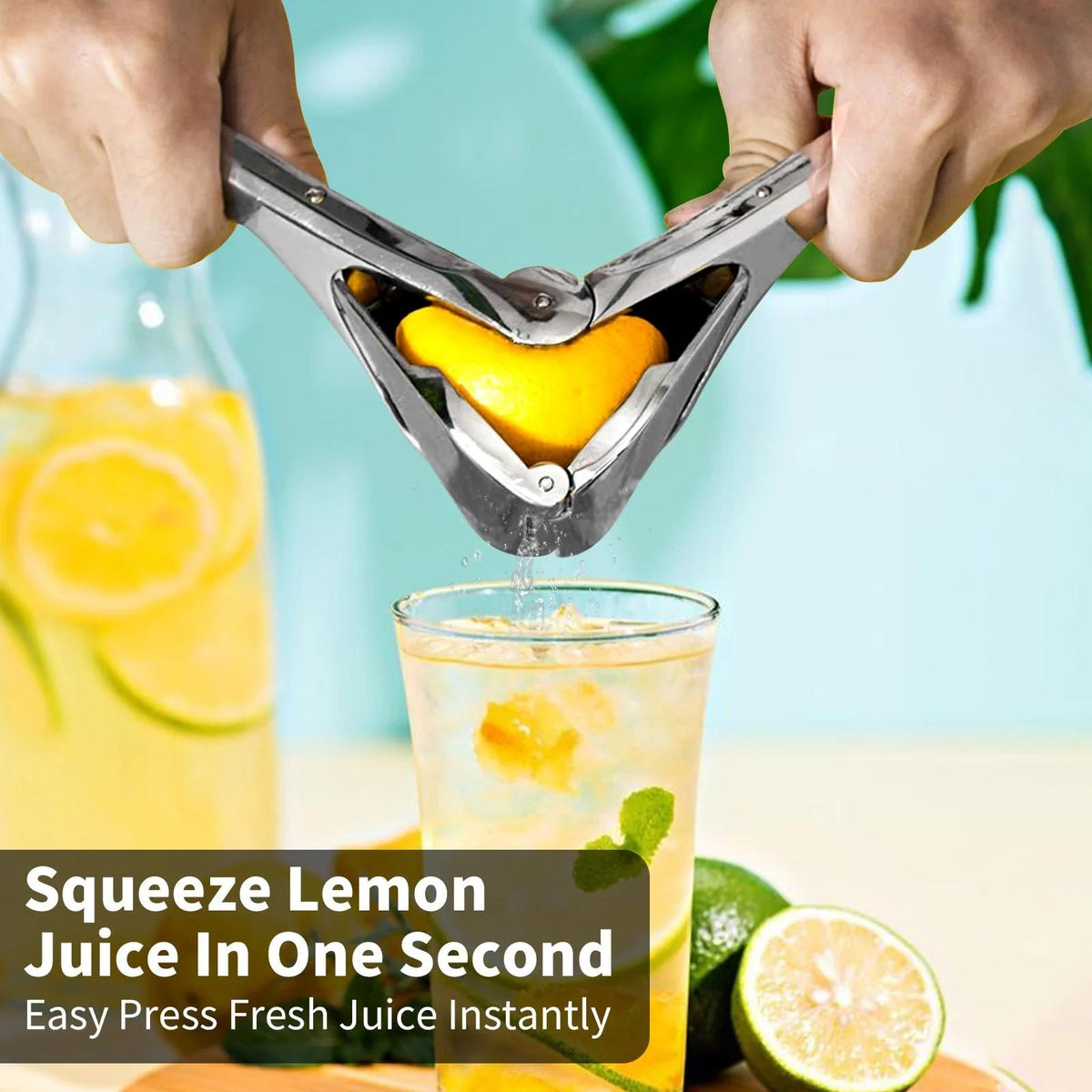 Citrus Squeezer