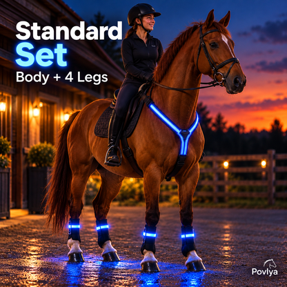 🐴 LED Horse Light Set – Glowing Chest, Leg & Tail Accessories✨
