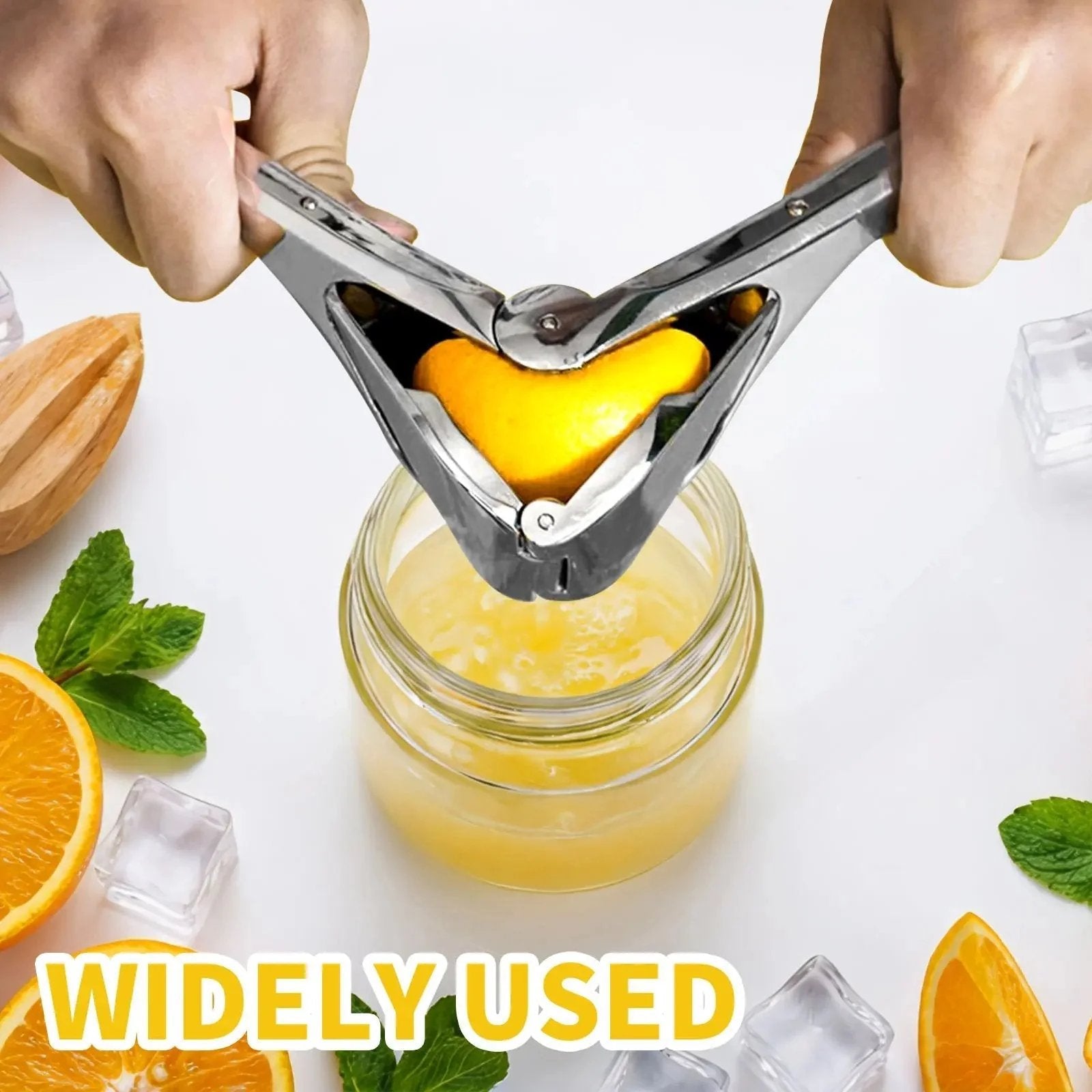 Citrus Squeezer