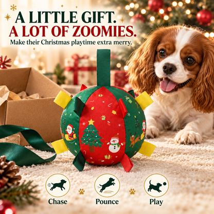 ✨🎁Bounce Paws Christmas Bounce Ball